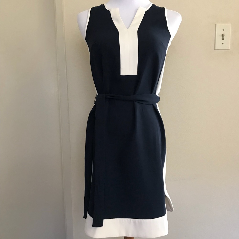 ANN TAYLOR dress